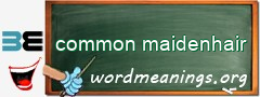 WordMeaning blackboard for common maidenhair